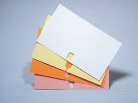 Katalogkarten orange, mit Flachstangenlochung (100 St.)